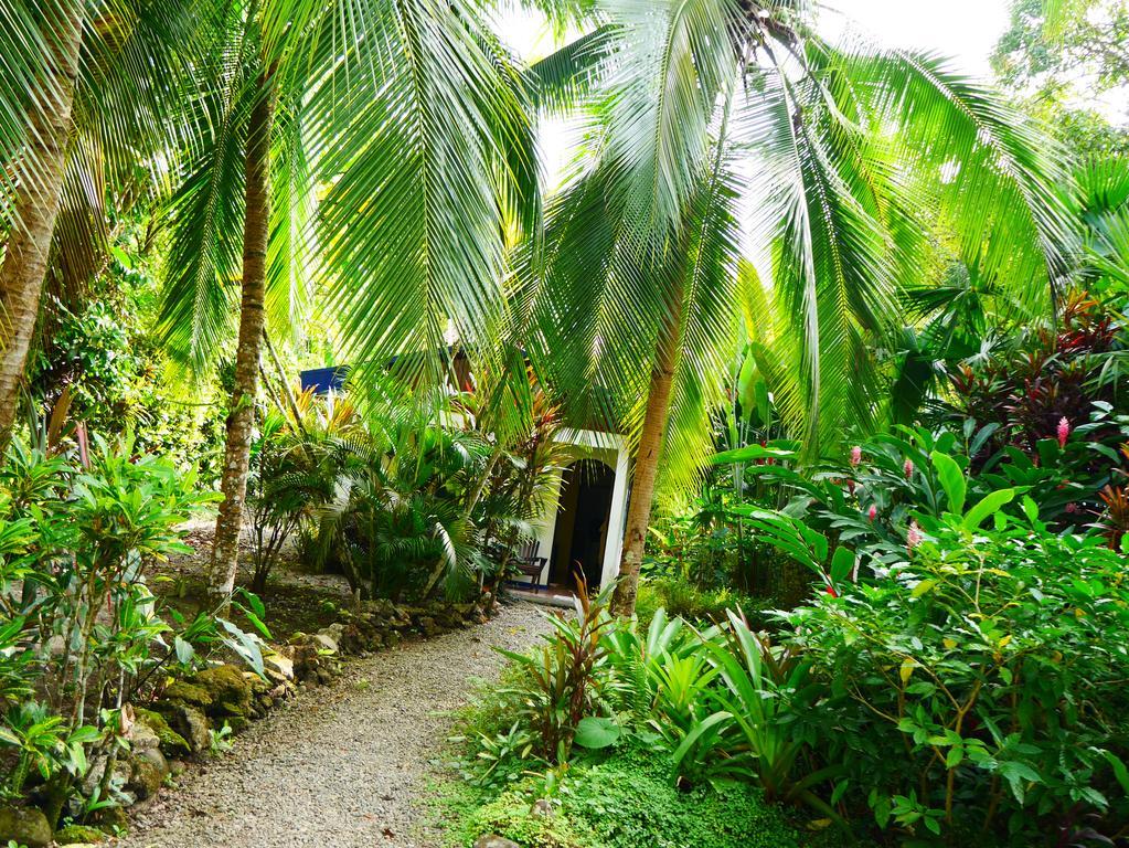 Cabinas Tito Cahuita Chambre photo